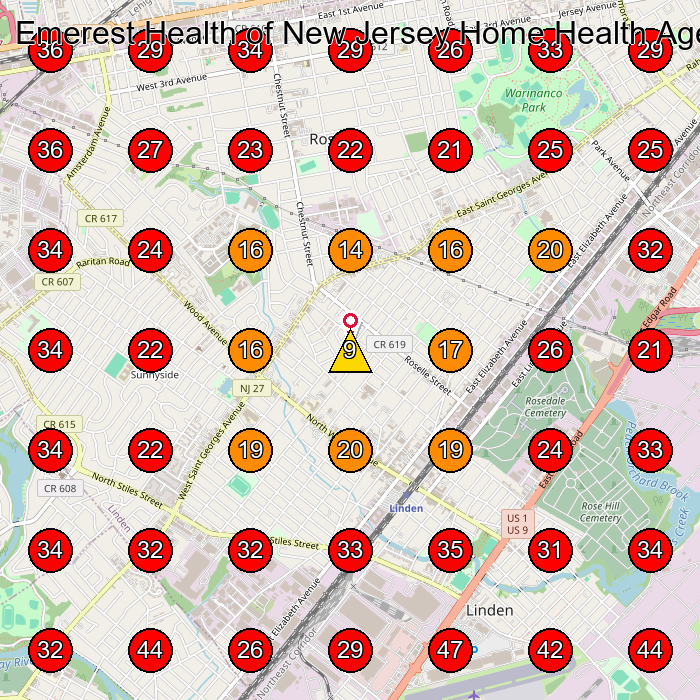Emerest Health of New Jersey Home Health Agency GeoGrid visibility map for Home Health Care Service in Roselle